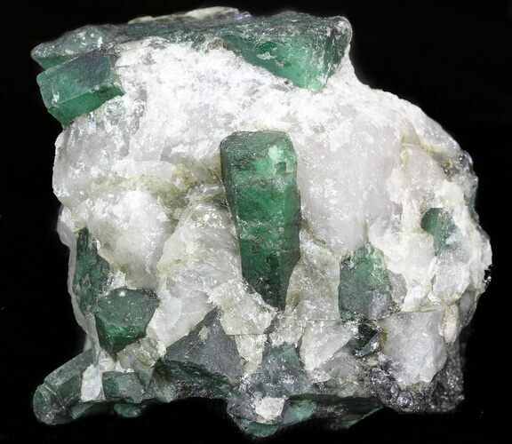 Beryl (Var: Emerald) Crystals in Biotite & Quartz - Bahia, Brazil #44123